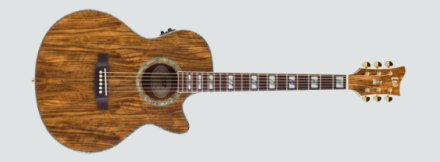 ESP Xtone старые модели