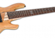 Фото Брайан Крэйх и LTD B-206SM