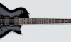 Превью LTD JH-600EC 13636