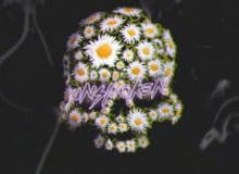 Фото THE DEAD DAISIES "Unspoken"