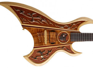 Галерея ESP Custom Shop 2010