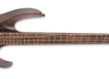 Фото LTD Basses - 2019