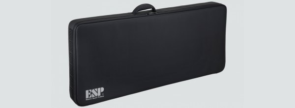 Кейс ESP HC-V полужесткий для V, EX