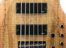 Фото Бас гитары ESP LTD B